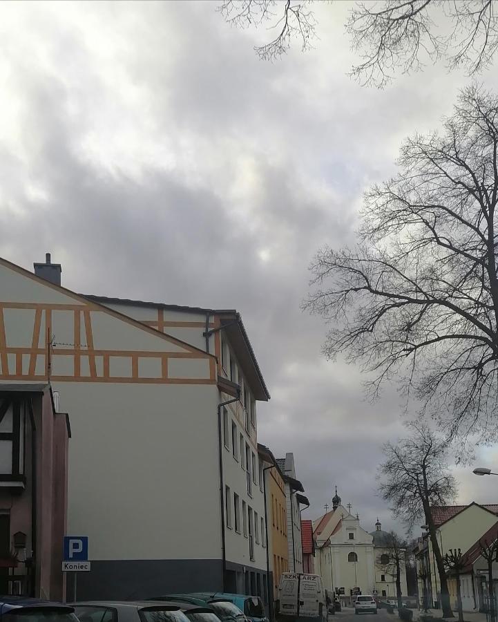 Apartament Jelen Zlotow (Greater Poland) Exterior photo